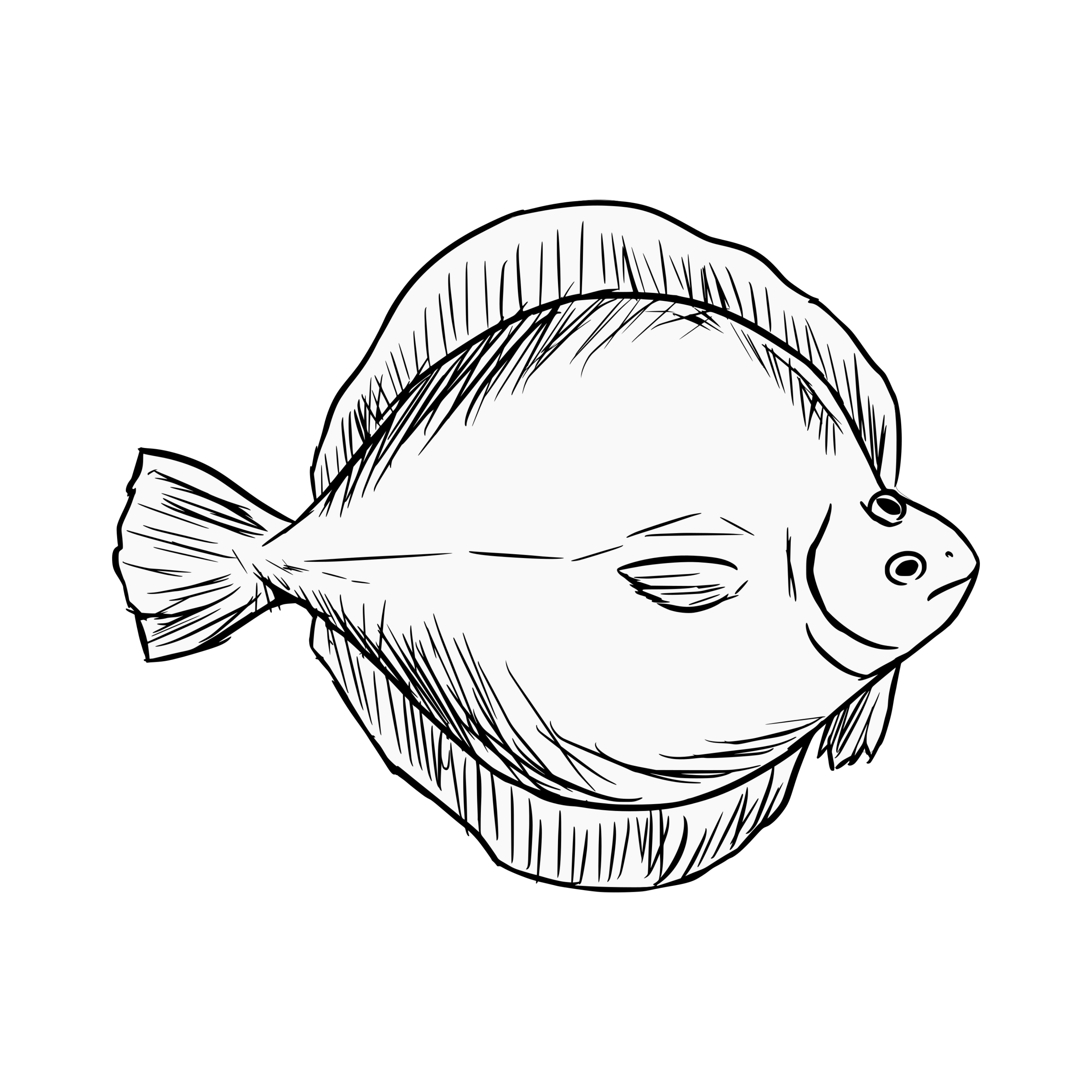 The Flounder logo